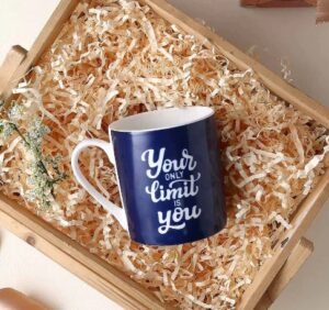 WONDERCHEF SICILIA YOUR OWNLY LIMIT IS YOU MUG